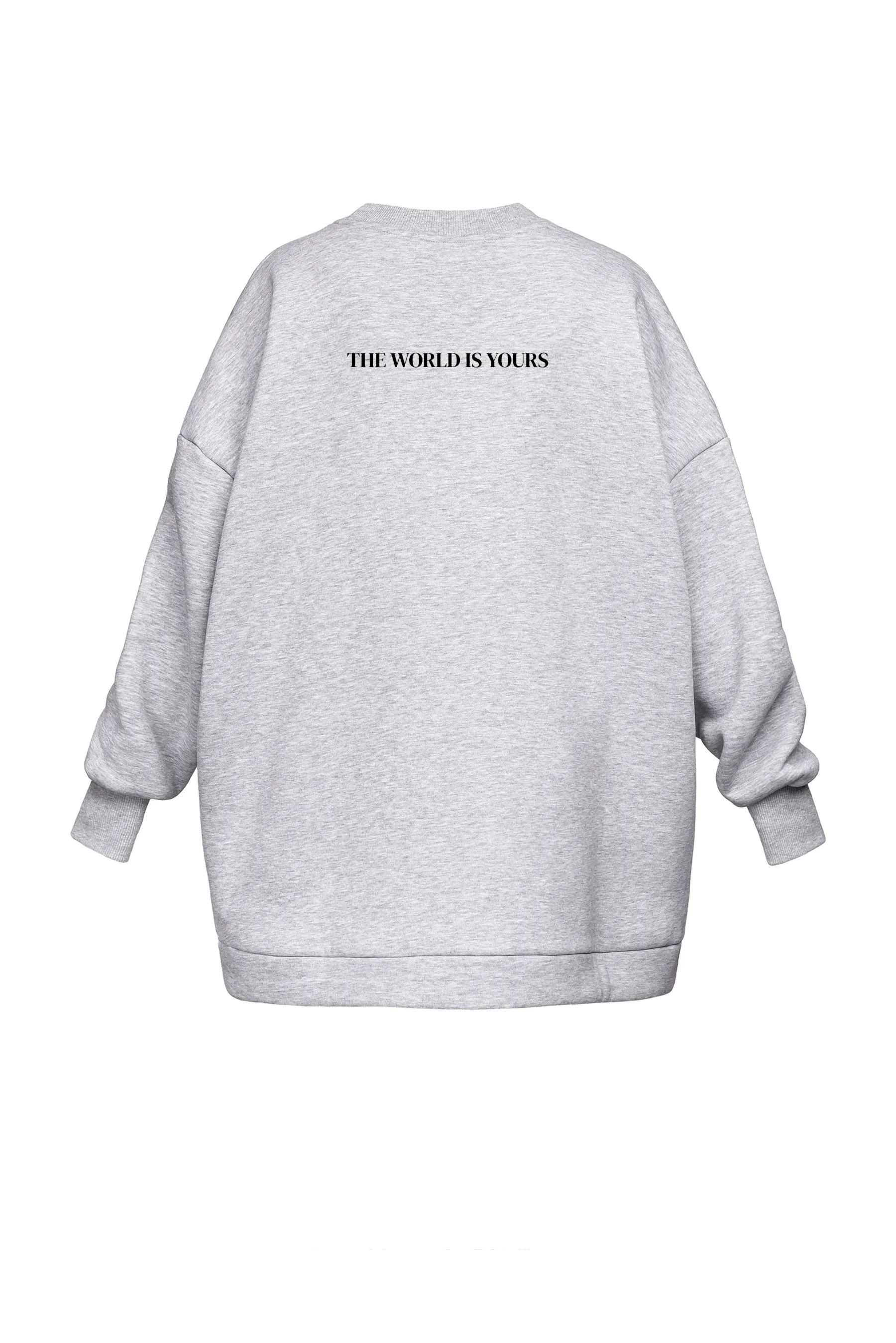 Gray sweatshirt with 'THE WORLD IS YOURS' text on the back against a white background
