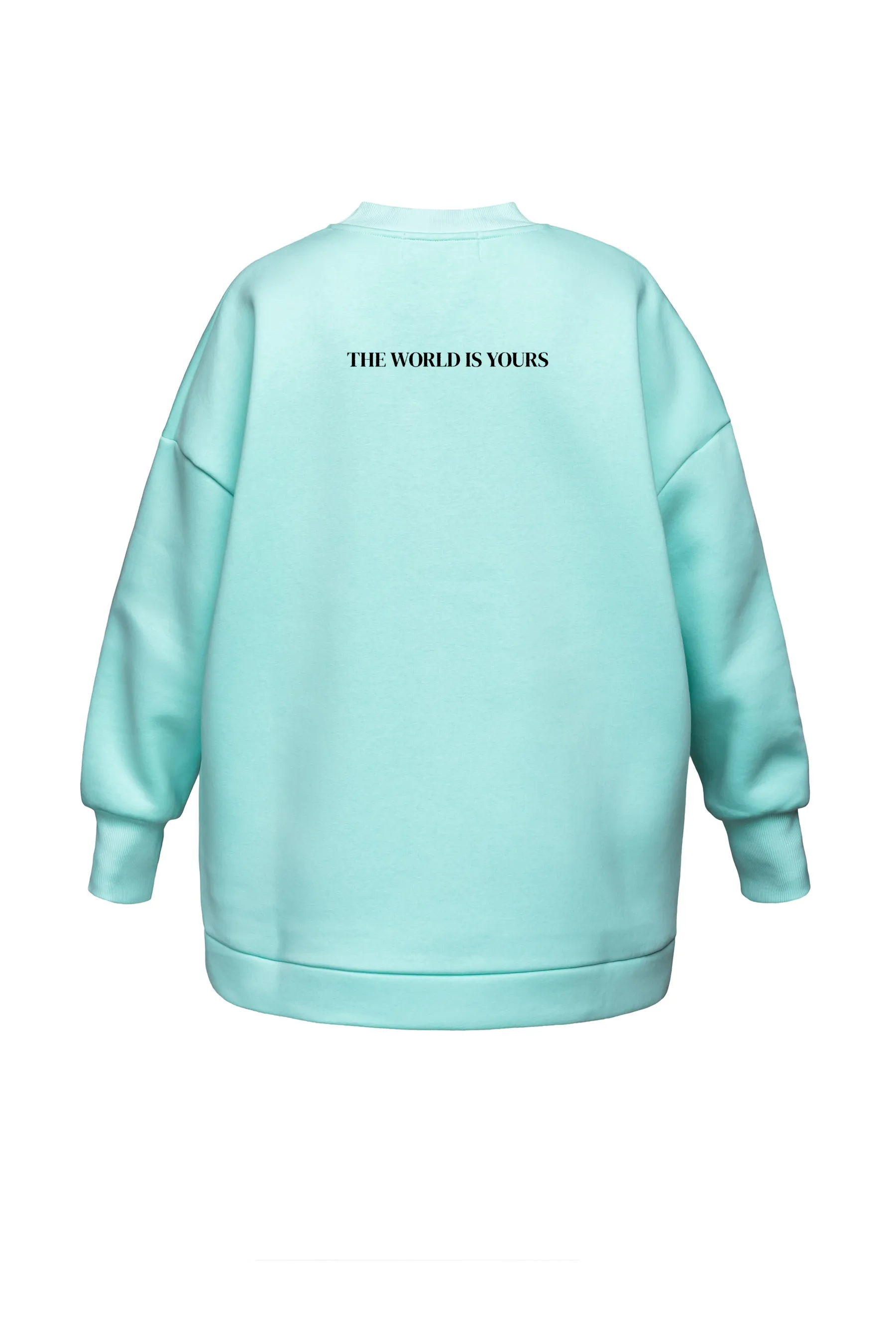 Light blue sweatshirt with 'THE WORLD IS YOURS' text on the back against a white background